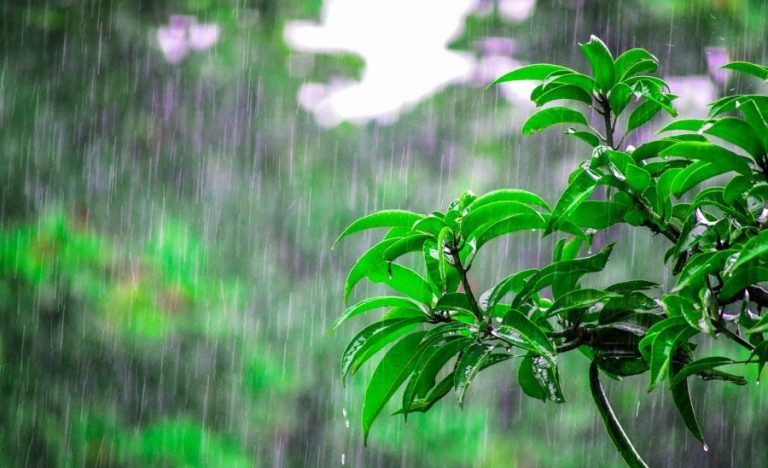 rain-111-1