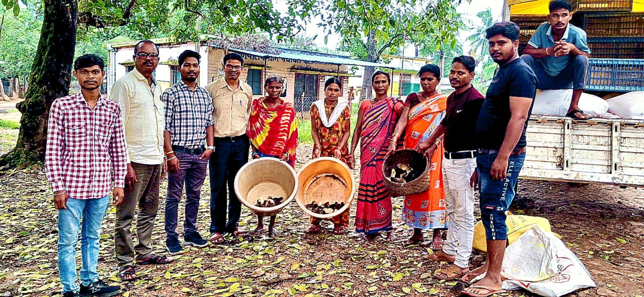 sukma-backyard-poultry-free-chicks-distribution-women-shg