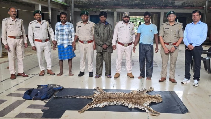 narayanpur-leopard-skin-smugglers-arrested-forest-department-2026