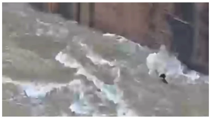 bango-dam-youth-jumps-into-water-ranjit-yadav-missing