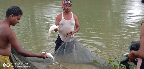 abujhmad-fish-farming-somaru-ram-1-25-lakh-income