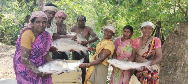 jashpur-women-fish-farming-income