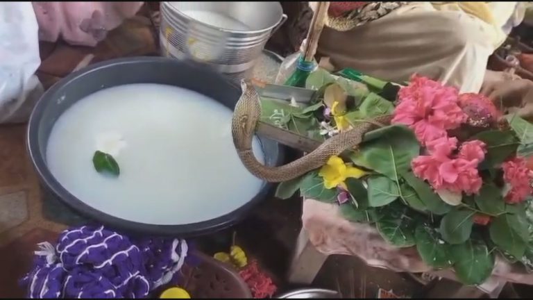barmkela-shravan-mela-nag-devta-darshan-dwadash-jyotirlinga-rudrabhishek