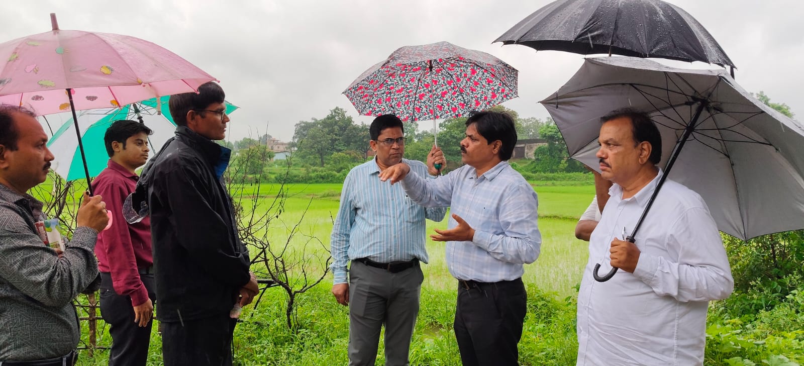 lailunga-jawaphul-rice-organic-farming-fpo-farmers-raigarh