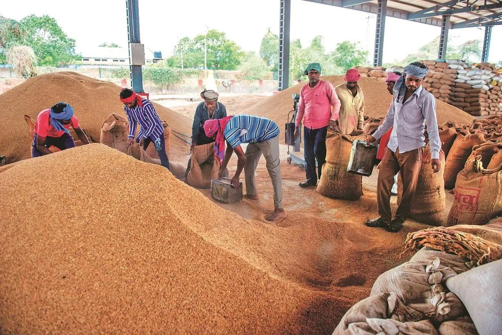 महासमुंद नए धान उपार्जन केंद्र