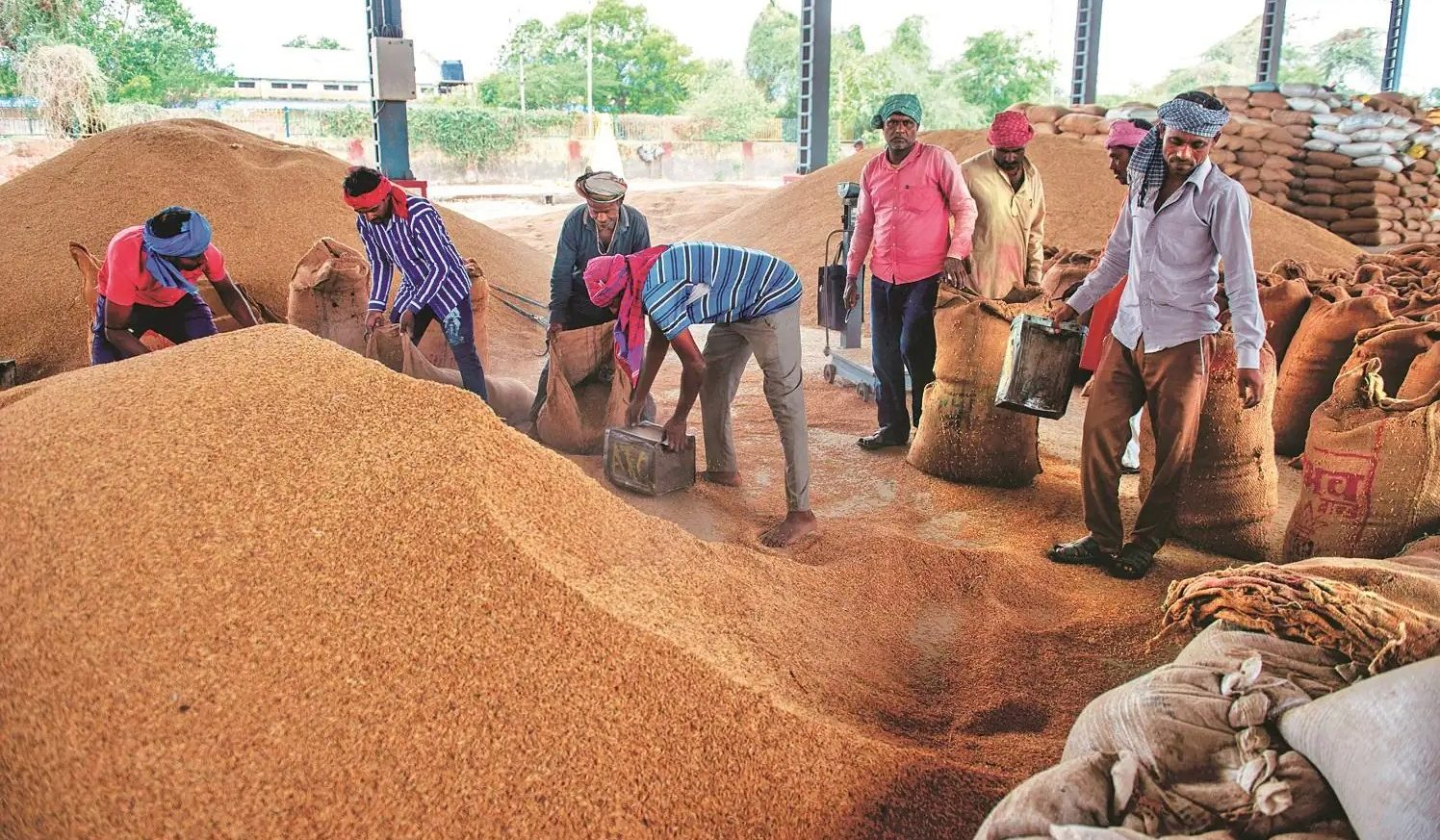 mahasamund-20-new-paddy-procurement-centers-2026