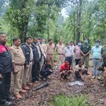 marwahi-dead-bear-nails-two-accused-arrested