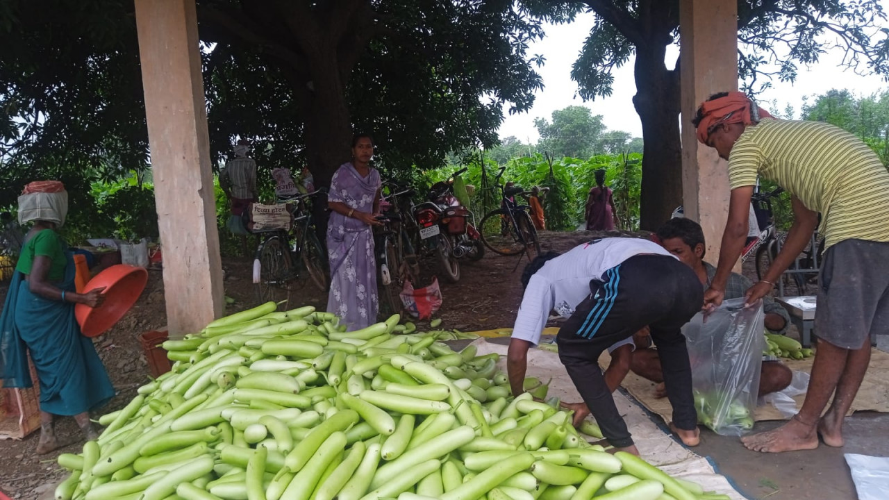 ujala-utpadak-samuh-samuhik-kheti-sarangarh-6-lakh-aay