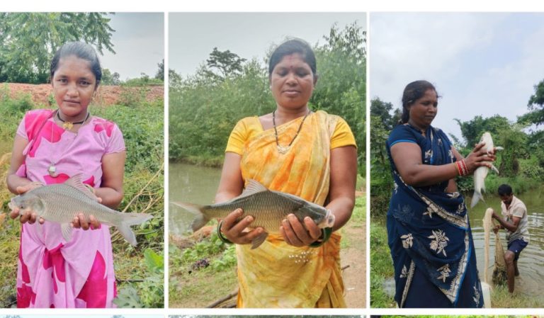 dhamtari-kukrel-farm-pond-jal-sanrakshan-machhli-jhinga-palan