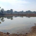 today-bastar-news-pm-matsya-sampada-yojana-sudarshan-baghel-fish-farming
