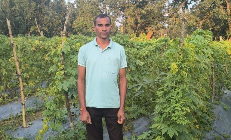 today-narayanpur-news-farmer-kalendra-kumeti-vegetable-farming