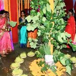 today-chhattisgarh-news-karma-parv-mcb-surguja-tribal-culture