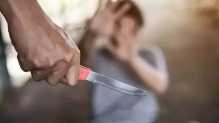 raipur-meesho-delivery-boy-robbery-mandir-hasaud