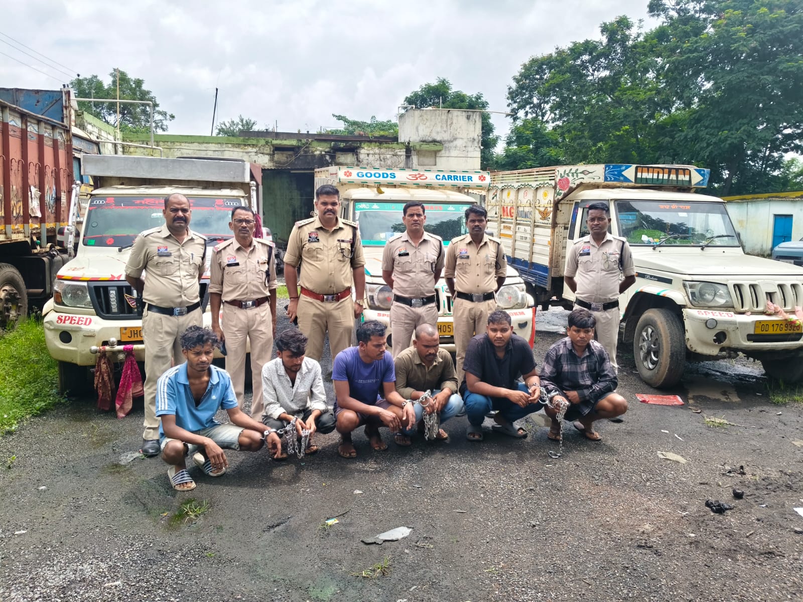 today-raigarh-news-cow-smuggling-operation-shankhnaad-6-arrested