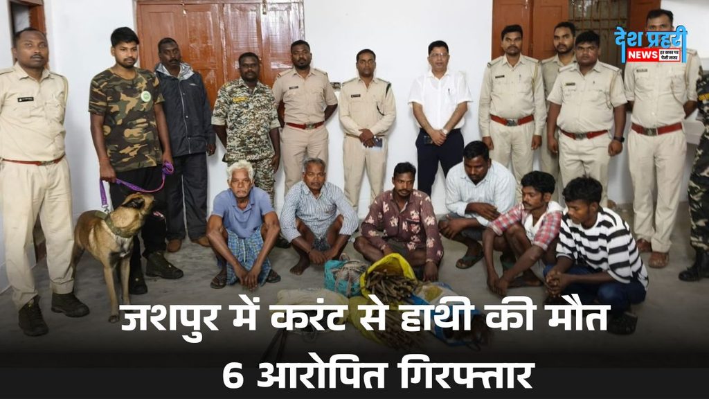 जशपुर हाथी मौत मामला