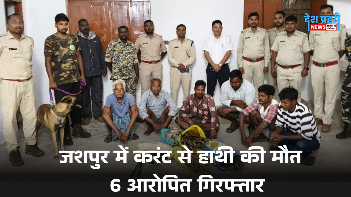 jashpur-news-hathi-maut-karant-tar