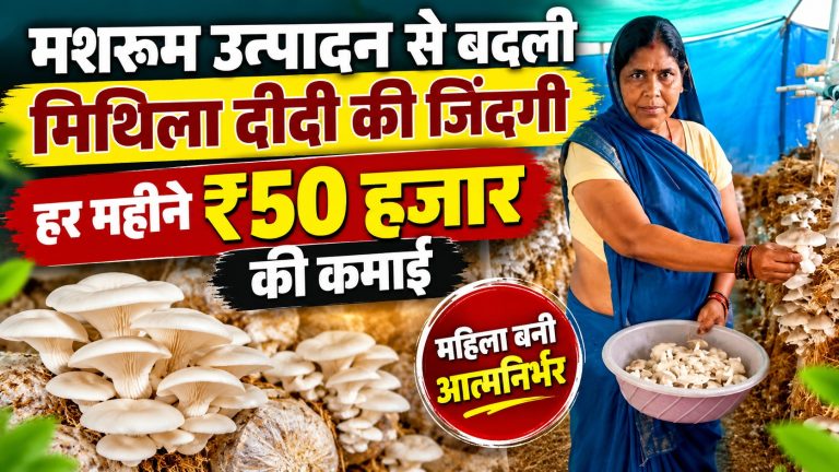mithila-didi-mushroom-utpadan-sarangarh-bilaigarh