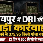 raipur-ganja-taskari-dri-action-375-95-kg