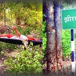 jhiram-valley-case-devji-deva-nia-trial